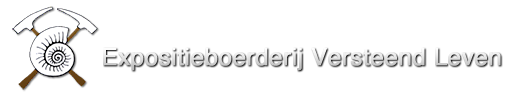 Versteend Leven