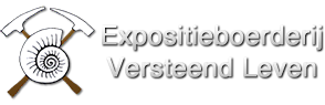 Versteend Leven logo